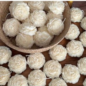 🌸Orah Peony Bloom